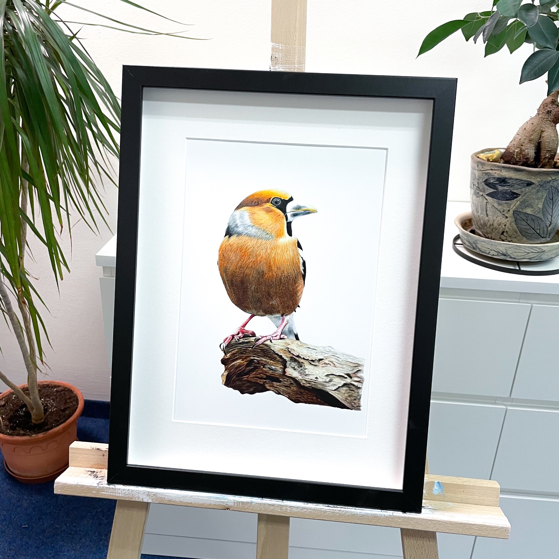 Autorský print dlask tlustozobý na větvi A4 ilustrace přírody